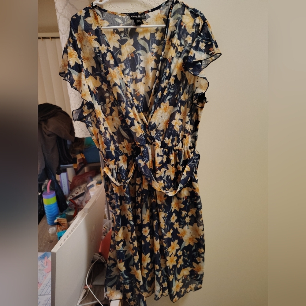 Multicolored dress brand is Alexa b size 18